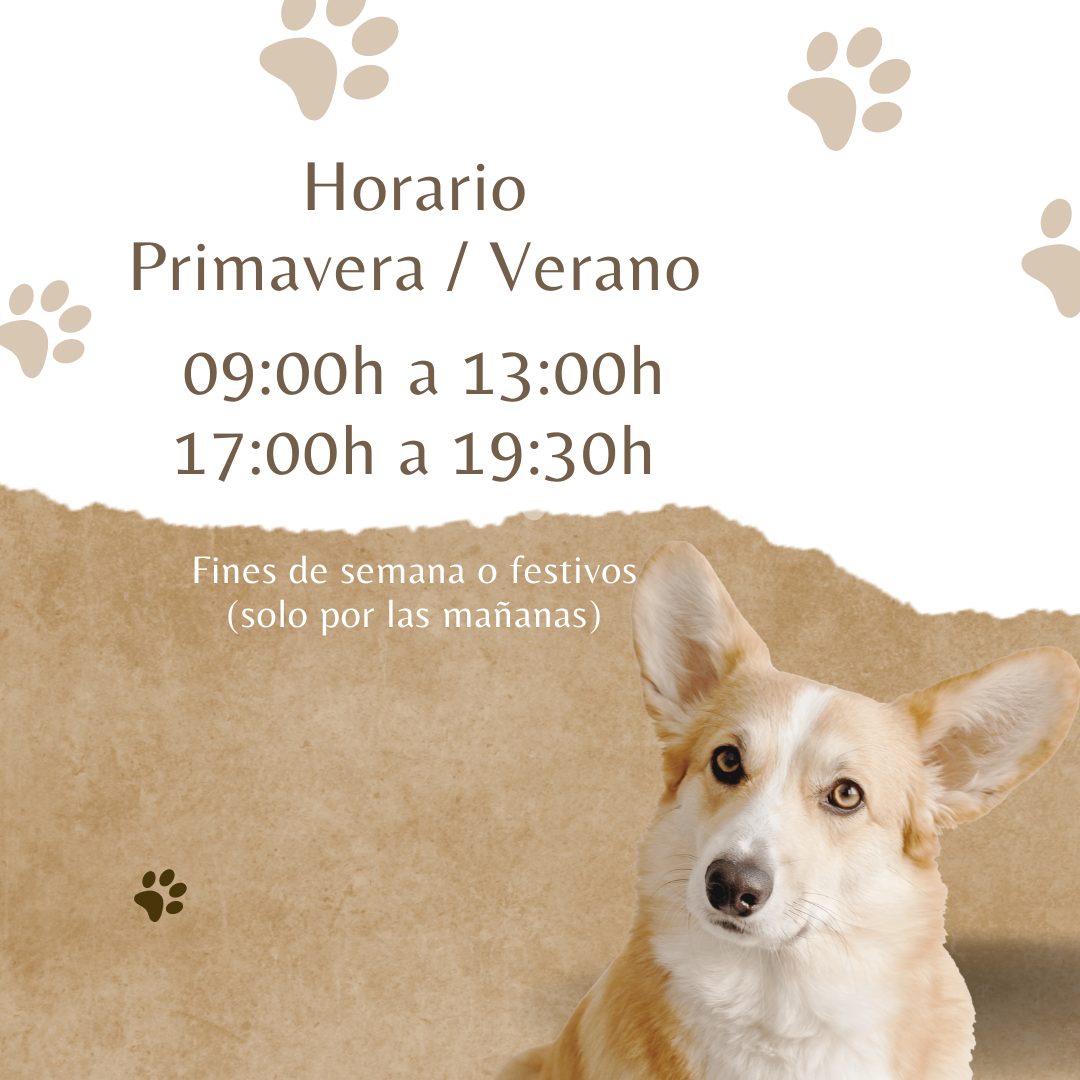 Protectora El Cau Adopción de perros en Benicarlo, Peñíscola