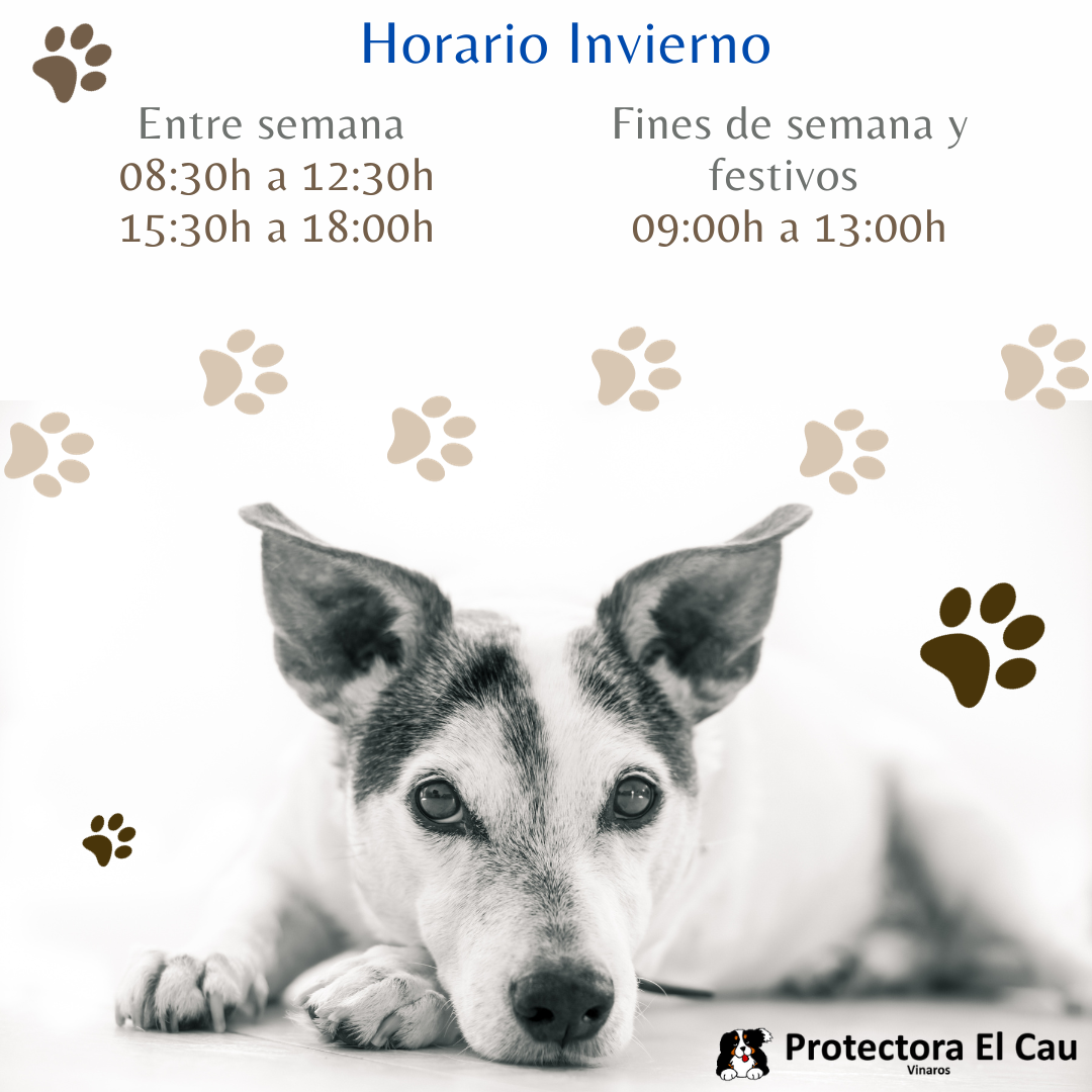 es gratis adoptar un cachorro